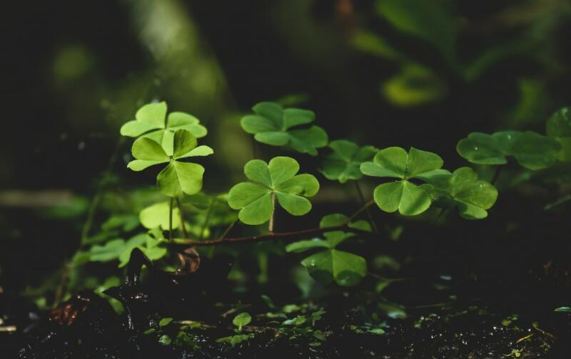 1651544330833182.jpg 1651544330833182.jpg