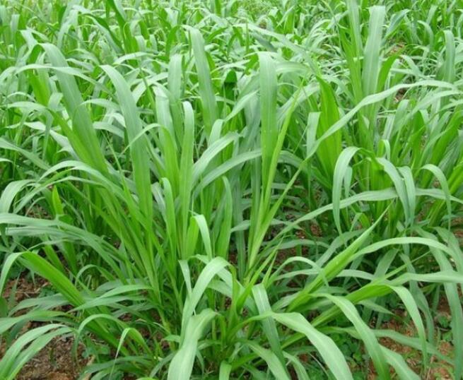 1653799741791359.jpg 1653799741791359.jpg