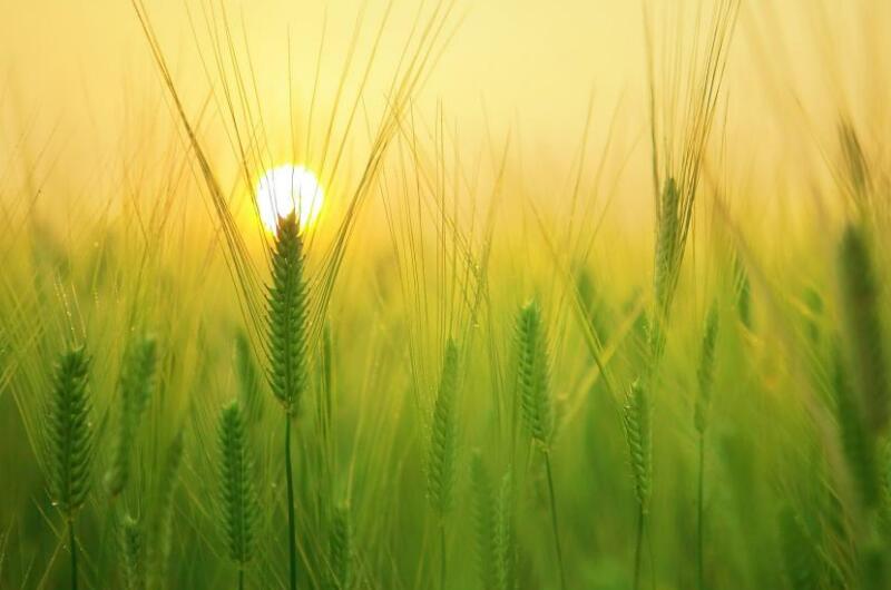 1653801164197757.jpg 1653801164197757.jpg