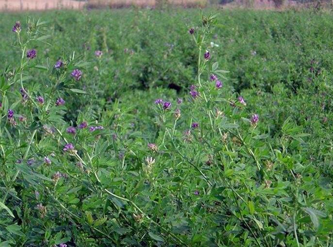 1653801165508565.jpg 1653801165508565.jpg