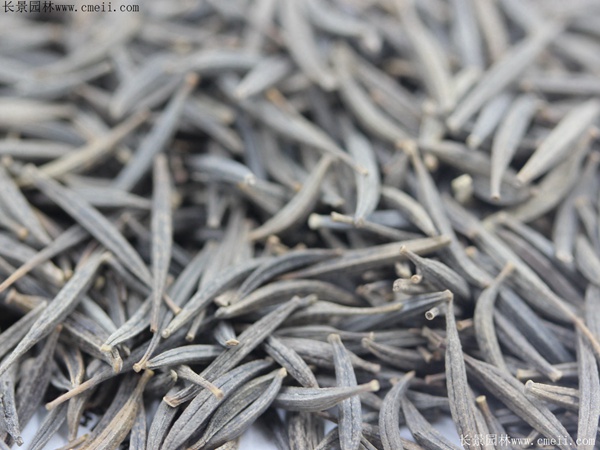 1712277741549135.jpg 1-1F50619521CQ.jpg