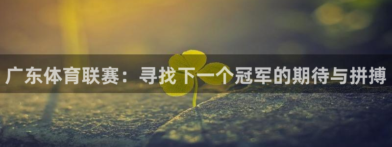 51视频直播软件：广东体育联赛：寻找下一个冠军的期待与拼搏