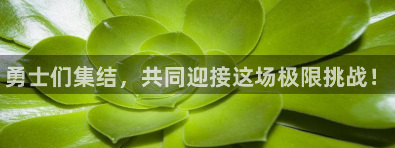 51视频直播：勇士们集结，共同迎接这场极限挑战！