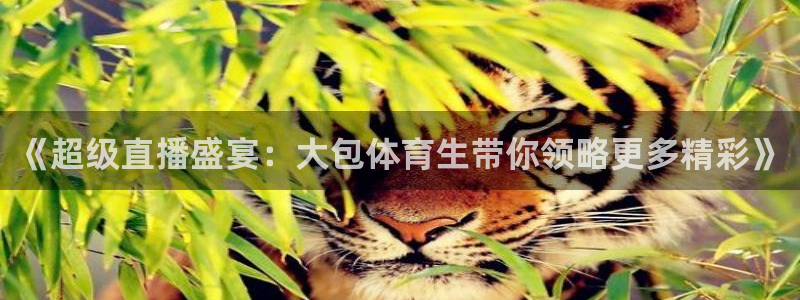 51视频直播软件：《超级直播盛宴：大包体育生带你领略更多精彩》