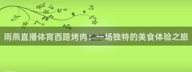 51视频直播：雨燕直播体育西路烤肉：一场独特的美食体验之旅