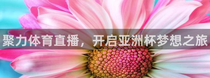 51视频直播app：聚力体育直播，开启亚洲杯梦想之旅