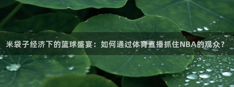 51视频直播：米袋子经济下的篮球盛宴：如何通过体育直播抓住NBA的观众？