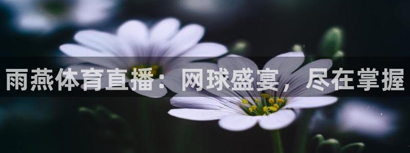 51视频直播沐阳台球最新消息：雨燕体育直播：网球盛宴，尽在掌握