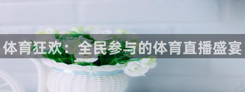 51视频直播沐阳台球最新消息：体育狂欢：全民参与的体育直播盛宴